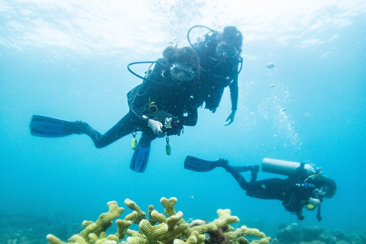 One Tank Scuba Diving in Kauai South Shore Certified Diver Only - Photo 1 of 6